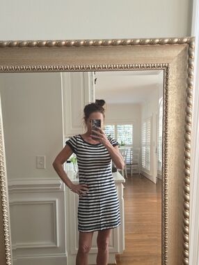 Banana Republic Navy and White Striped Mini Dress